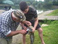 Foto: der Wels am Haken