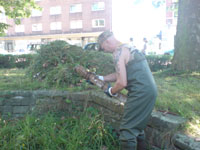 Foto: Techreinigung 7